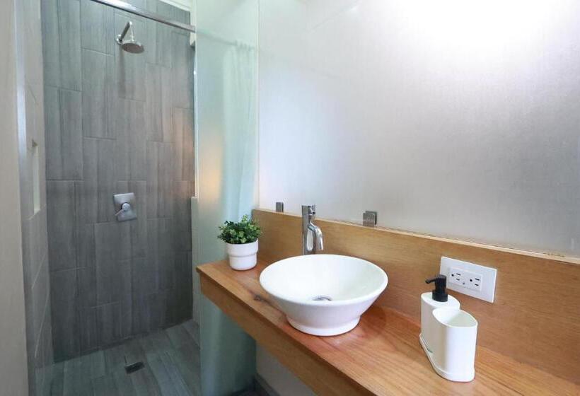 Отель Casa Panuco