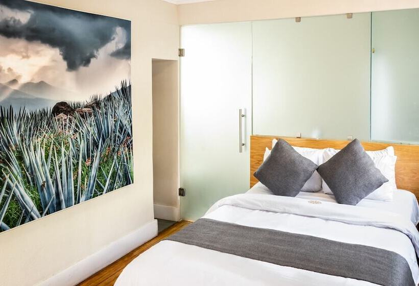 Отель Casa Panuco