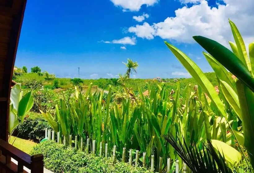 Hotelli Druwa Bali