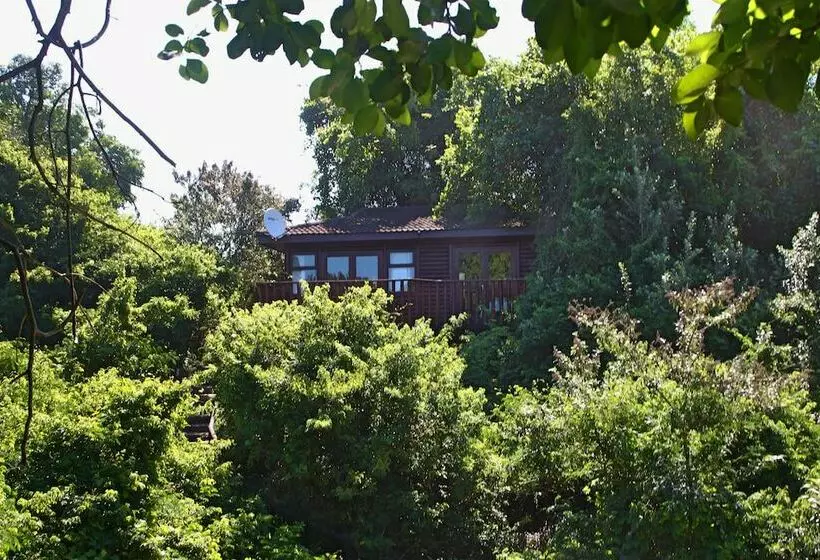 Hotelli Mtunzini Forest Lodge Self Catering Resort