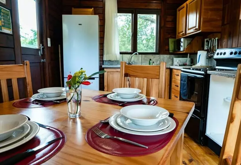 Hotelli Mtunzini Forest Lodge Self Catering Resort