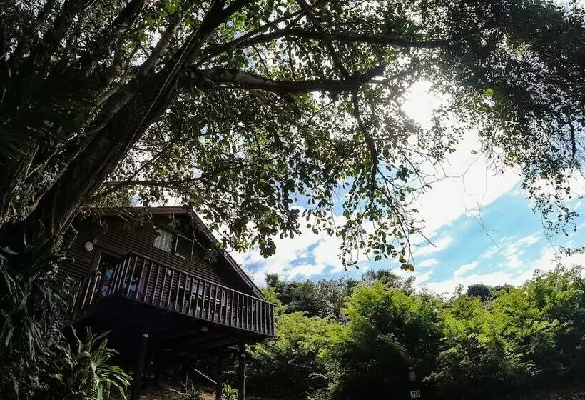 Hotelli Mtunzini Forest Lodge Self Catering Resort