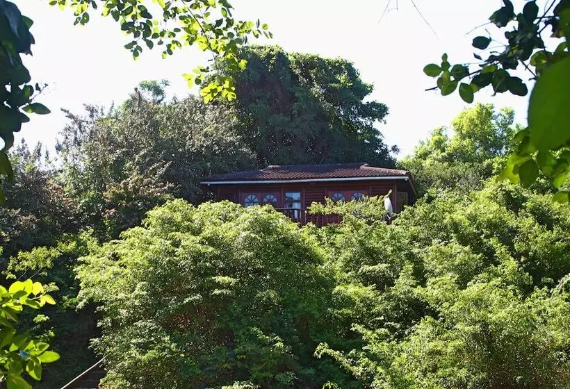 Hotelli Mtunzini Forest Lodge Self Catering Resort