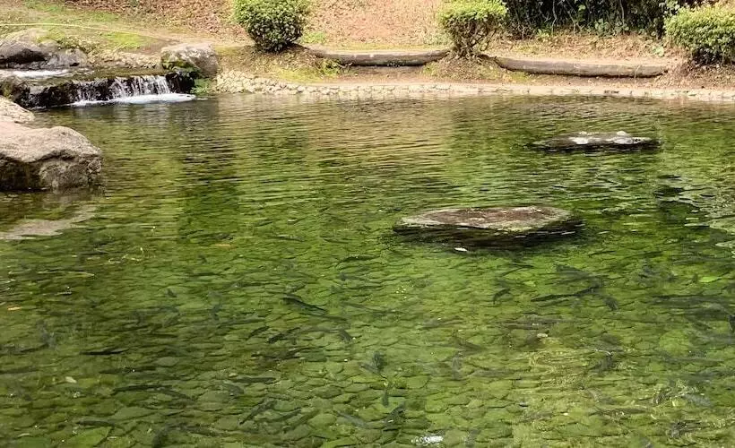 ホテル Ojibaru Park