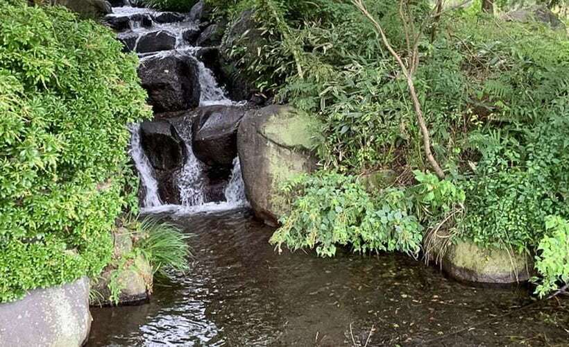 בית מלון כפרי Ojibaru Park