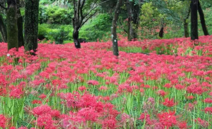 ホテル Ojibaru Park