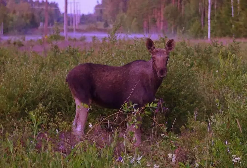 Hotelli Otterbergets Bad & Camping