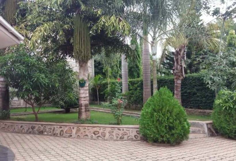 Kilimanjaro Peak   Hostel