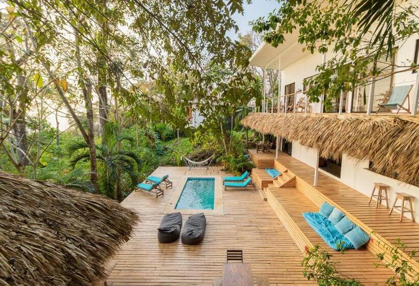 بنسيون La Sana Surf Hotel New Management