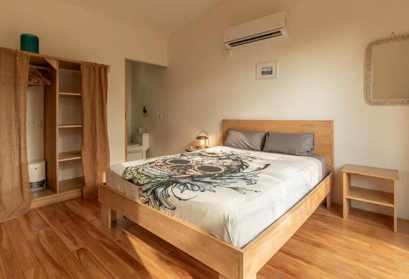 بنسيون La Sana Surf Hotel New Management