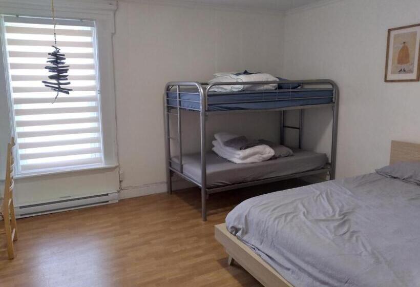 호스텔 Le Cheval Noir