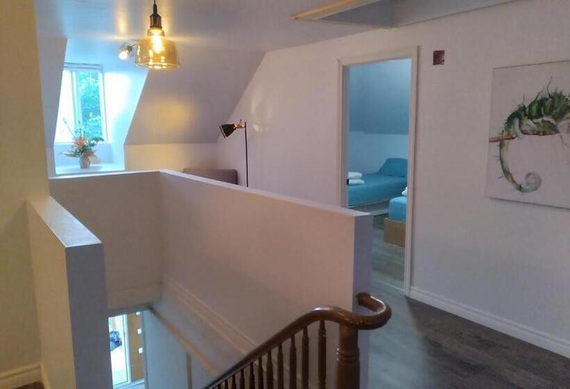 호스텔 Le Cheval Noir