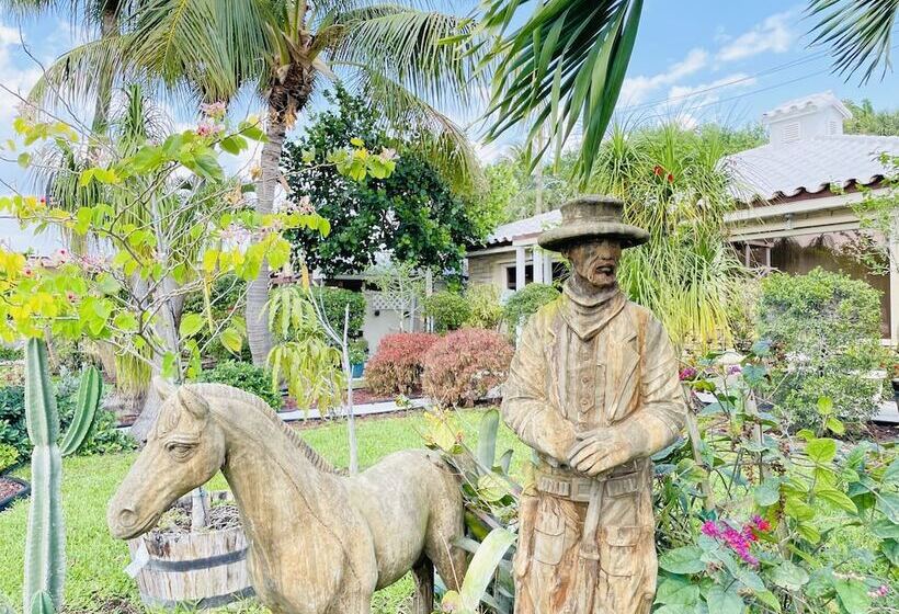 酒店 Barefoot Mailman Inn & Suites