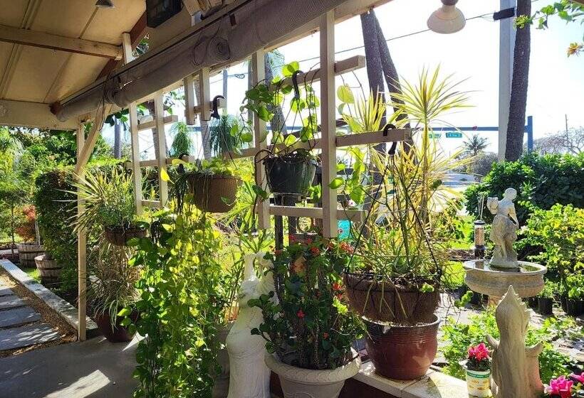 酒店 Barefoot Mailman Inn & Suites