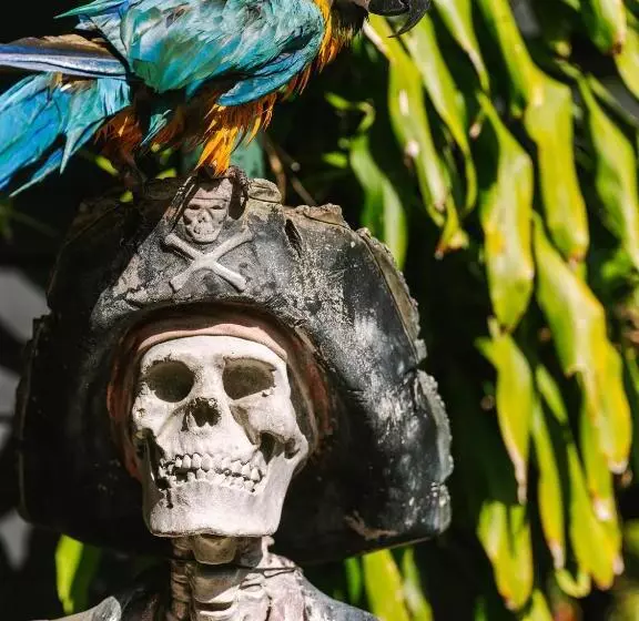 Flow Fort Lauderdale