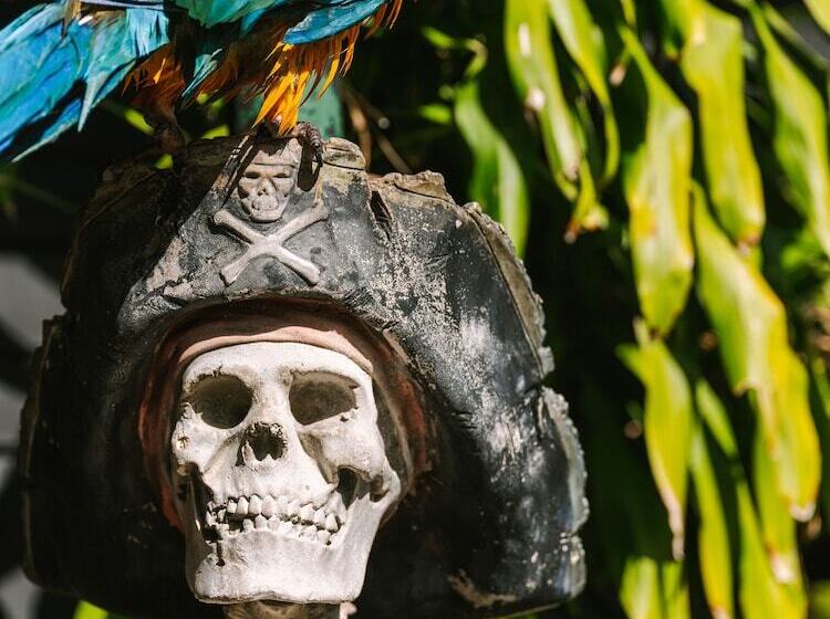 Flow Fort Lauderdale