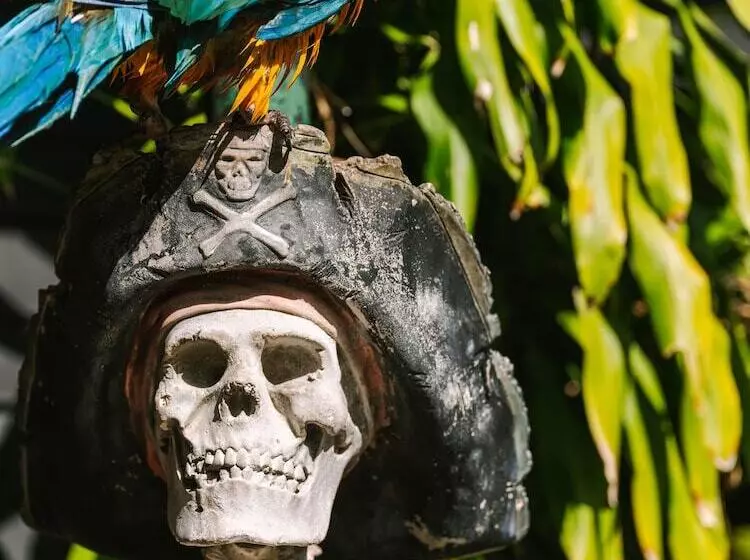 Flow Fort Lauderdale