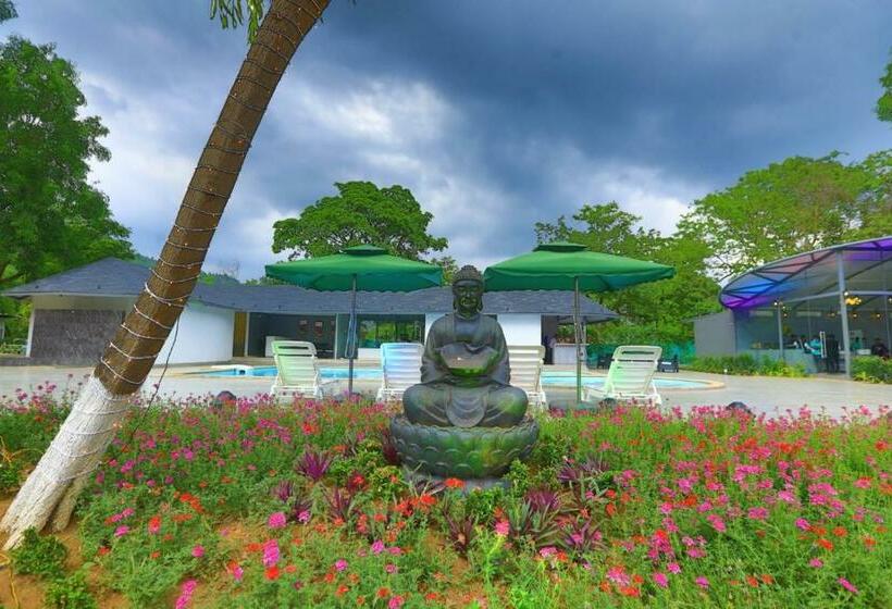 White Feather Resort Kauncha