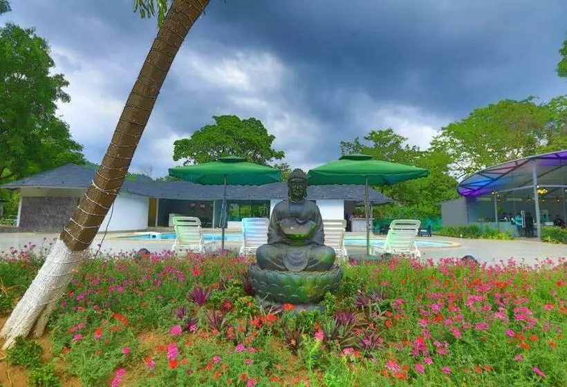 White Feather Resort Kauncha