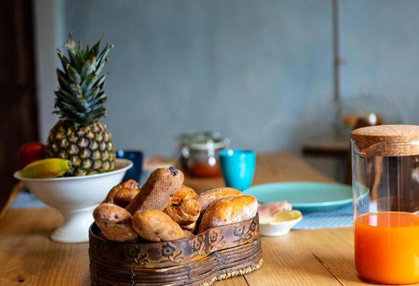 住宿加早餐 Natura Rooms&sport Bikeactivity Asd Aps