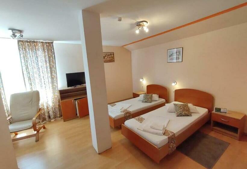 Aamiaismajoitus (B&B) Pensiunea Elena