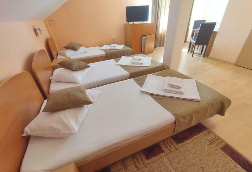 Aamiaismajoitus (B&B) Pensiunea Elena