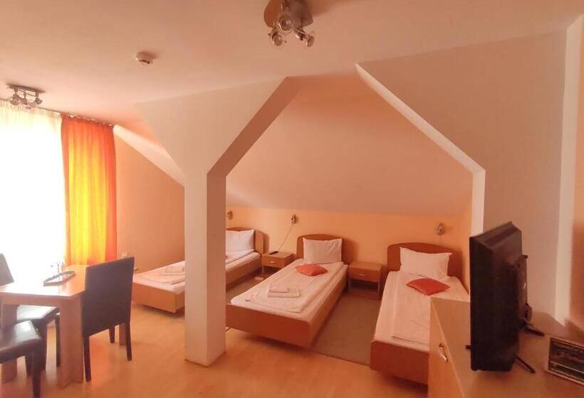 Aamiaismajoitus (B&B) Pensiunea Elena