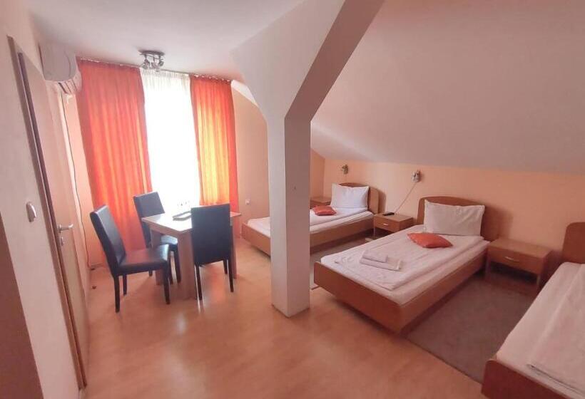 Aamiaismajoitus (B&B) Pensiunea Elena