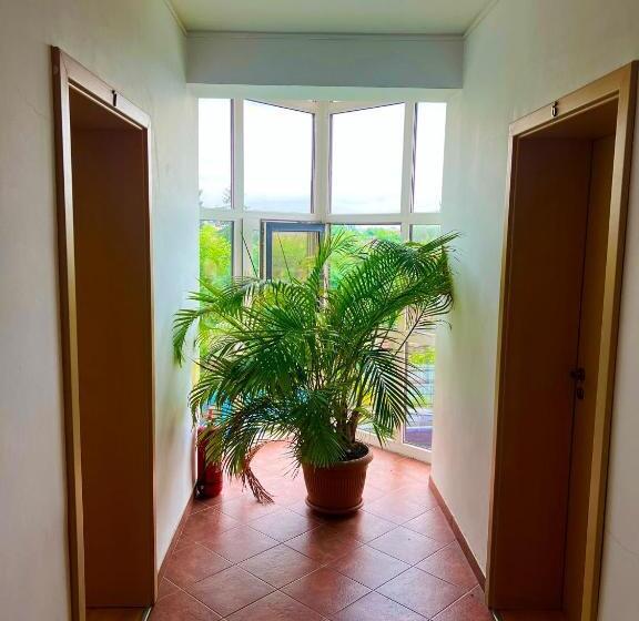 Aamiaismajoitus (B&B) Pensiunea Elena