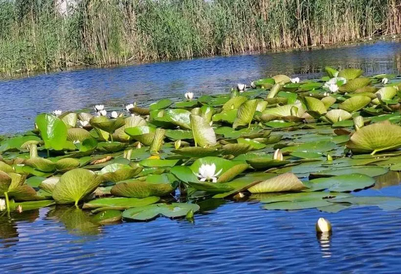 Pensiunea Nest
