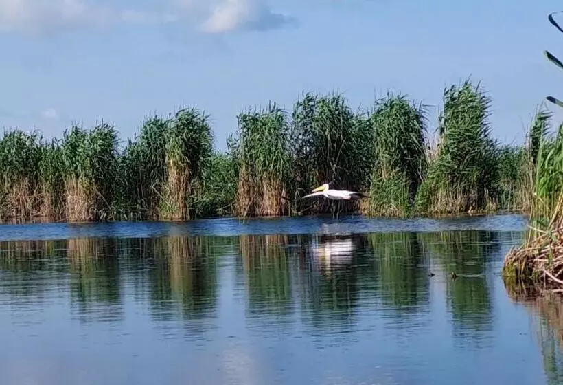Pensiunea Nest
