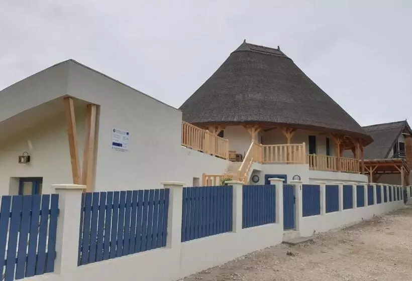 Pensiunea Nest