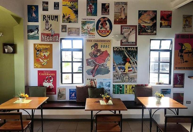 Bananaquit Near The Beach!