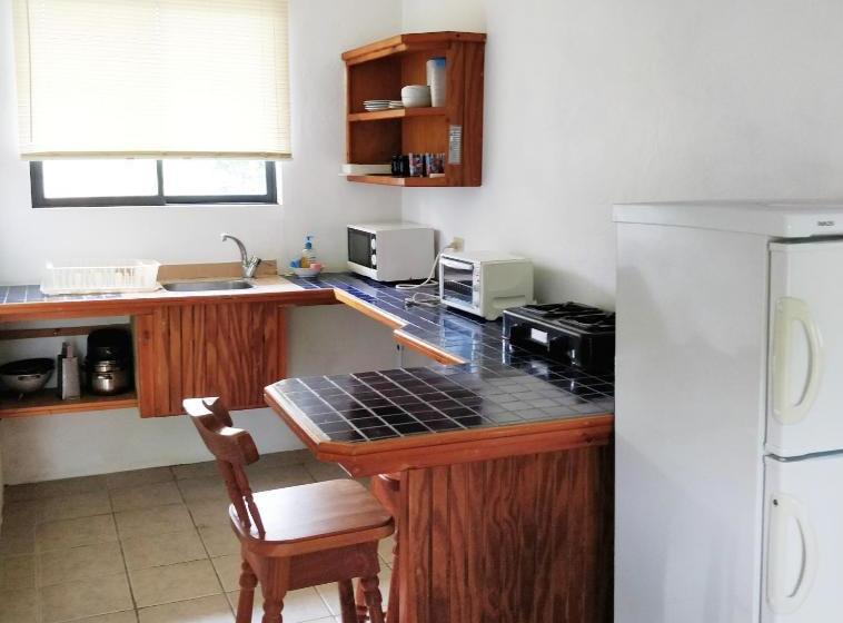 Bananaquit Near The Beach!