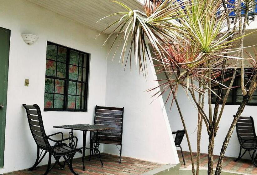 Bananaquit Near The Beach!