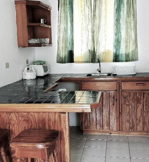 Bananaquit Near The Beach!