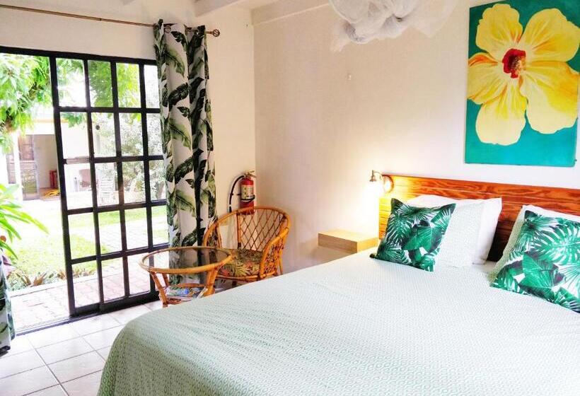 Bananaquit Near The Beach!