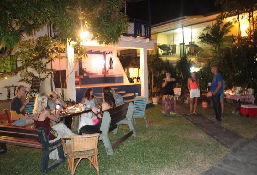 Bananaquit Near The Beach!