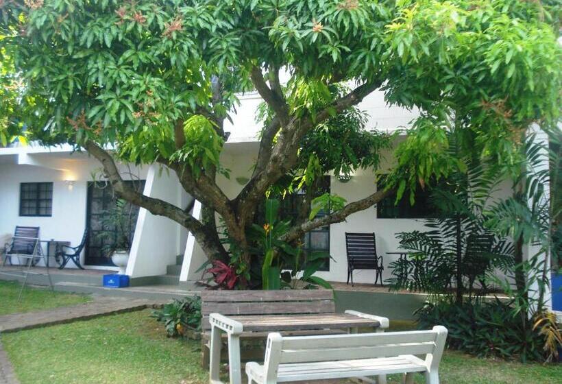 Bananaquit Near The Beach!