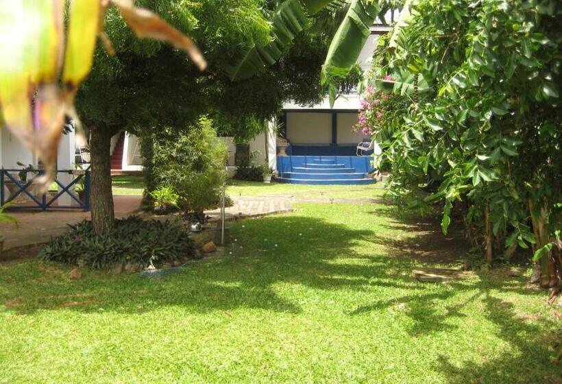 Bananaquit Near The Beach!