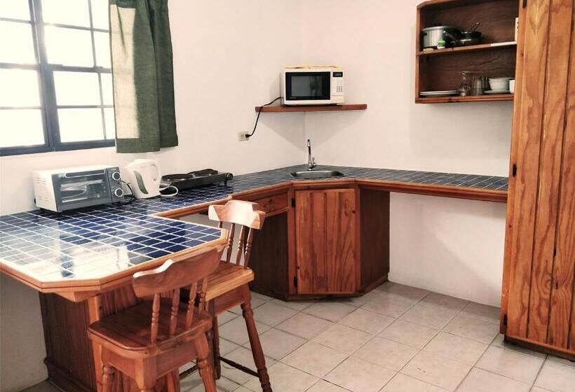 Bananaquit Near The Beach!