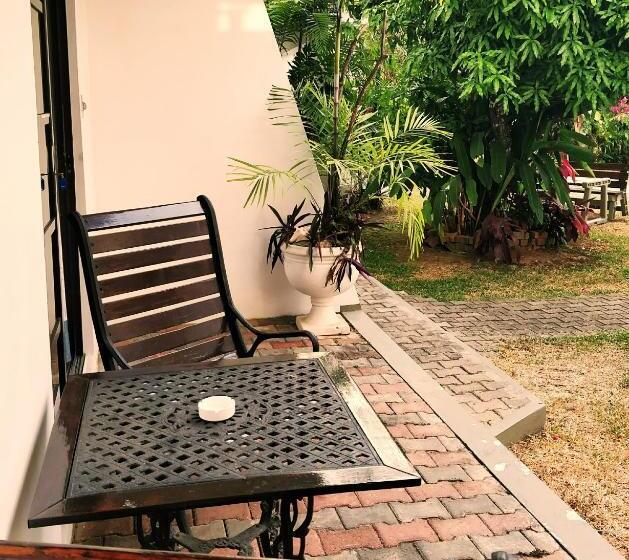 Bananaquit Near The Beach!