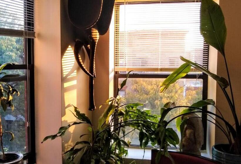 בית מלון כפרי The Gallery House