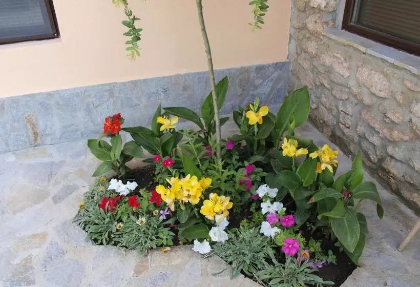 پانسیون Dobrevata House