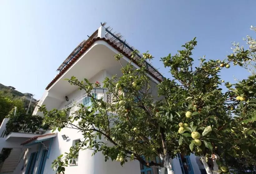 Majatalo Vila Asidanu