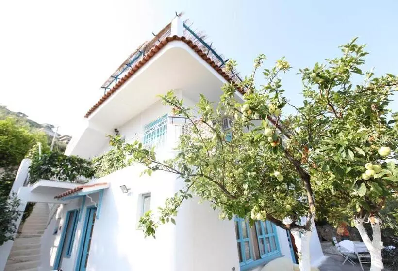 Majatalo Vila Asidanu
