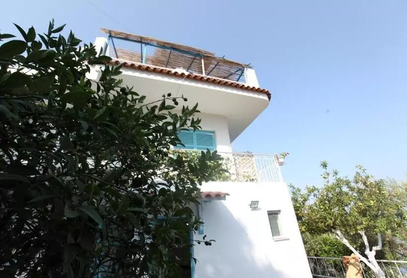 Majatalo Vila Asidanu