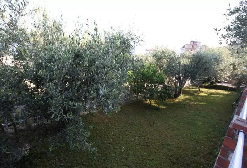 Majatalo Vila Asidanu