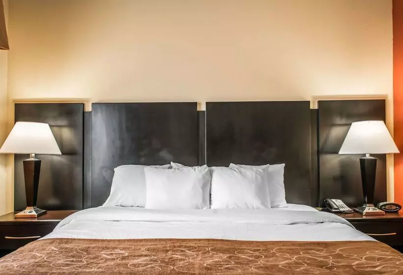 هتل Comfort Suites Panama City Near Tyndall Afb