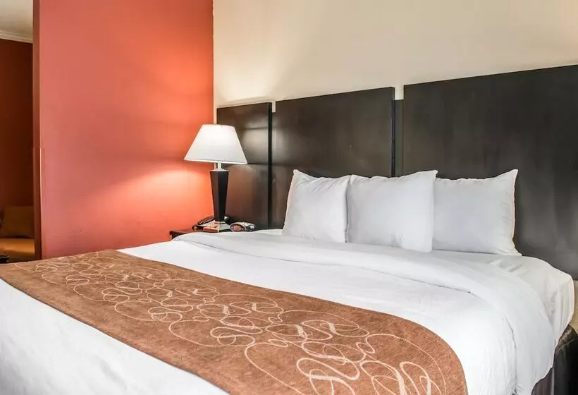 هتل Comfort Suites Panama City Near Tyndall Afb